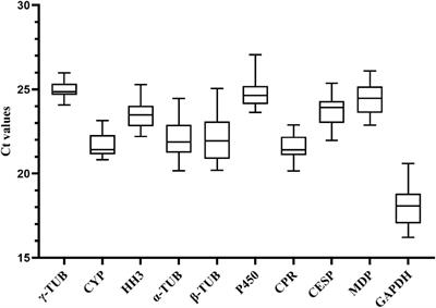 Identification and Validation of Reference Genes for Gene Expression Analysis in Different Development Stages of Amylostereum areolatum